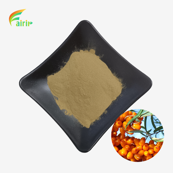 Sea Buckthorn Extract Powder